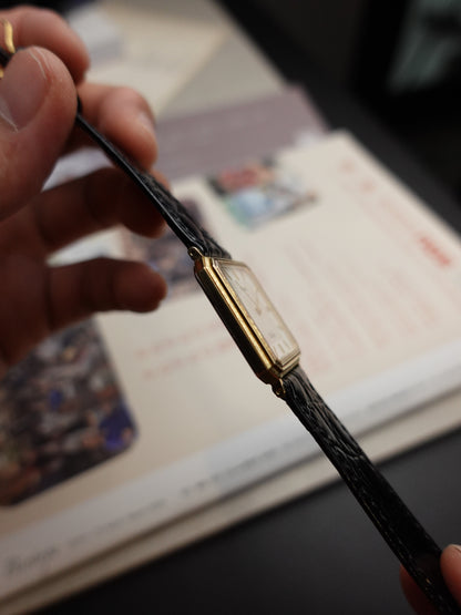 Seiko Dolce SGP30 icyflake Dial Low production model #333