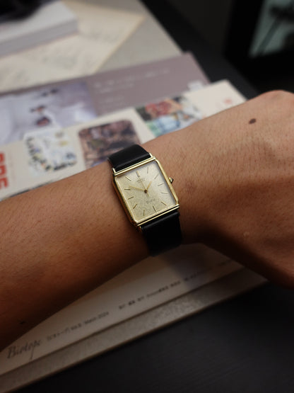 Seiko dolce art deco case SGP 30 rare variation #341