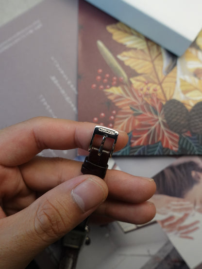 Citizen Eco-Drive Tank couple set (new solar batteries)