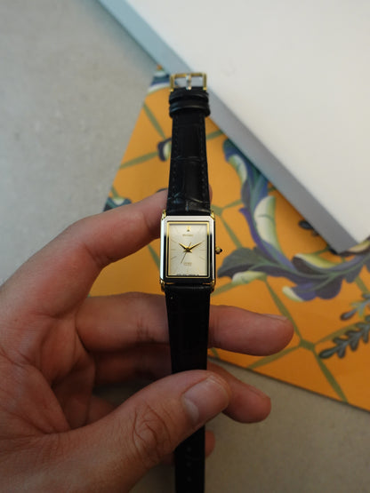 Citizen Exceed Glass dial Couple Set