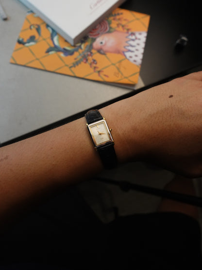 Citizen Exceed Glass dial Couple Set