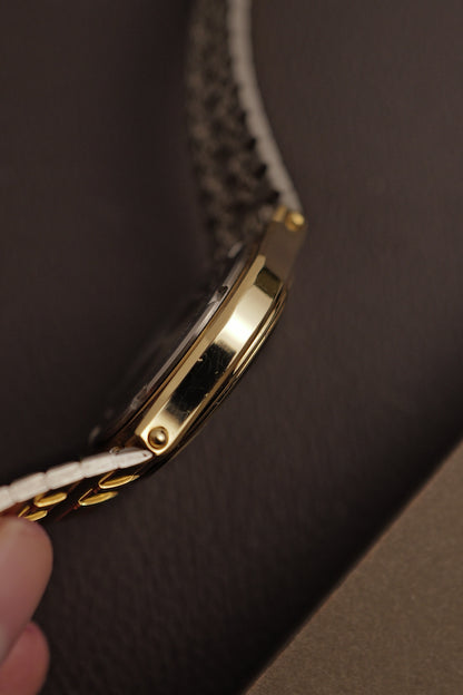 Seiko SQ 100 "Sector Dial" Circa.1995