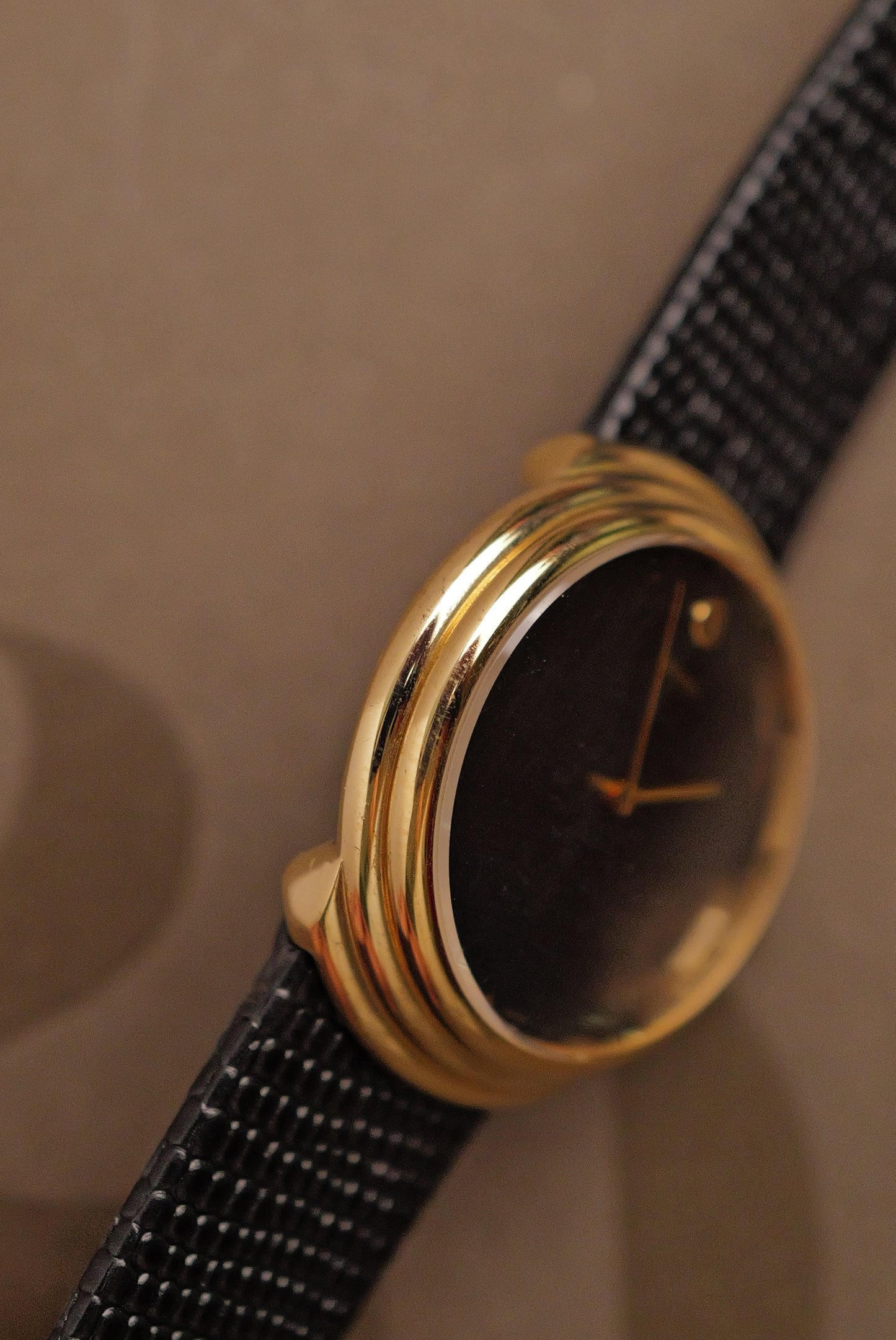 Seiko Chariot " Ying Yang" Circa. 1976