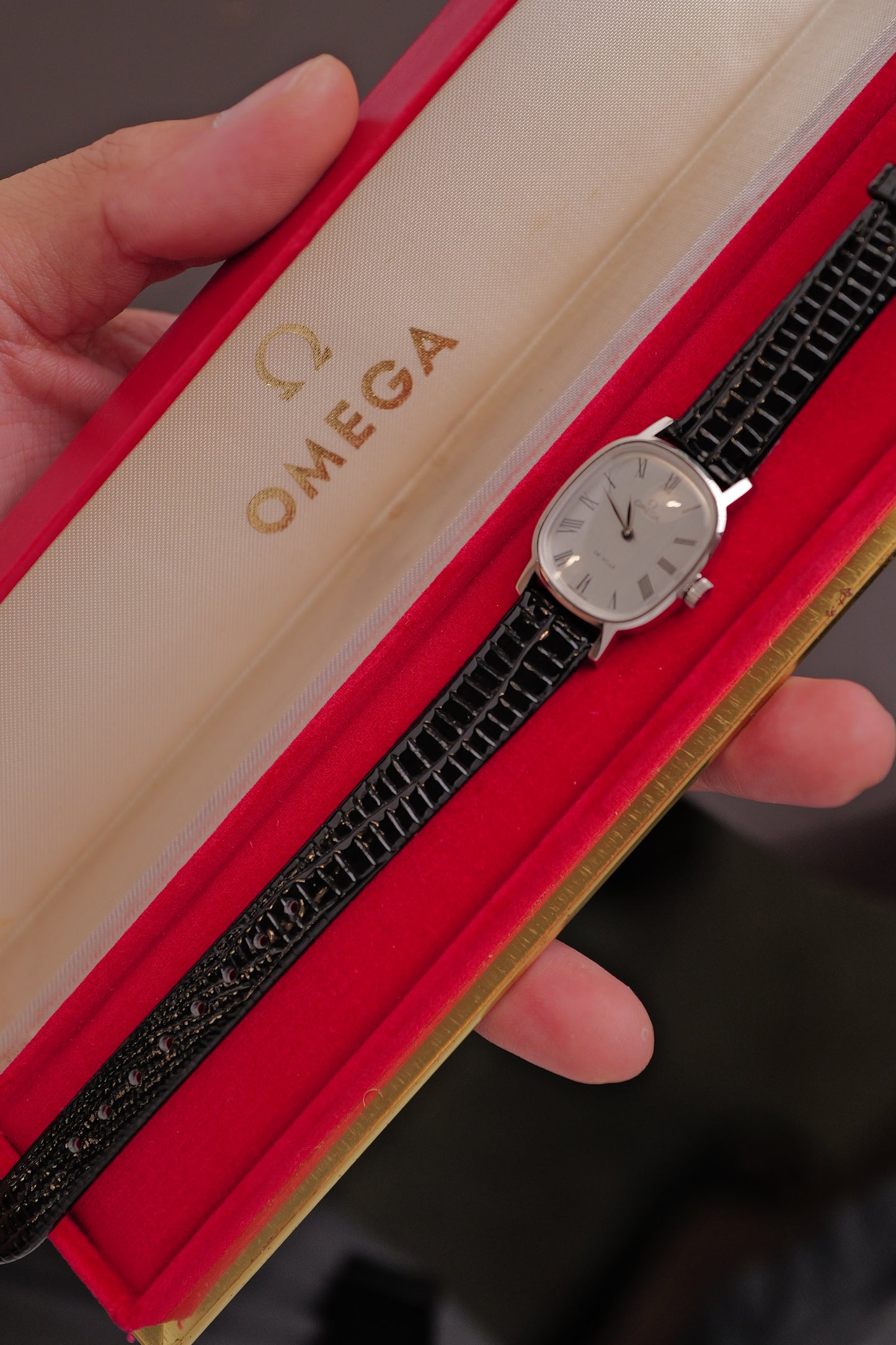 Omega Ellipse "Brushed Silver" Circa. 1970s
